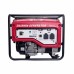 Бензиновий генератор DAISHIN SGB3001Ha