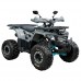 Квадроцикл SP125-8