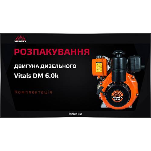 Двигун дизельний Vitals DM 6.0k фото 6