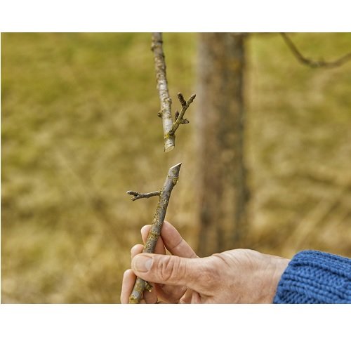 Секатор Gardena ExpertCut обводной 22 мм фото 2