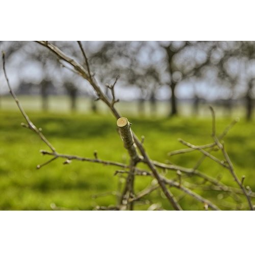 Секатор Gardena ExpertCut обводной 22 мм фото 8