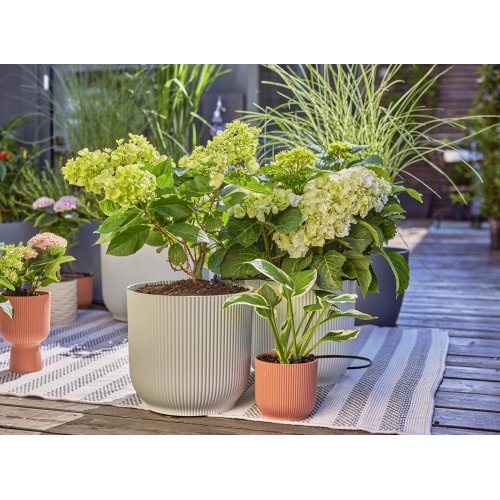 Комплект для полива Gardena Micro-Drip-System Terrace Set на 30 растений фото 1
