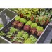 Комплект для полива Gardena Micro-Drip-System Raised Bed Set для высоких грядок на 35 растений