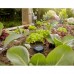 Датчик влажности грунта GARDENA