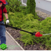 Кусторез электрический телескопический Einhell GC-HH 5047