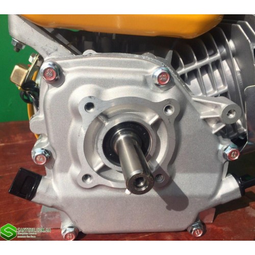Двигун бензиновий FORTE F200G фото 4