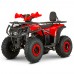 Квадроцикл акумуляторний FORTE FFP1500, Червоний в Києві