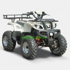 Квадроцикл Spark SP150-2