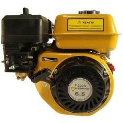 Двигатель бензиновый FORTE F200G