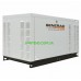 Газовий генератор Generac QT045