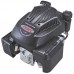 Двигун Loncin LC1P65FA