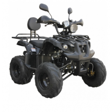 Квадроцикл Spark SP125-5