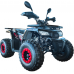 Квадроцикл Spark Sp125-7