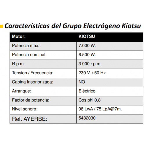 Генератор бензиновый AYERBE ENERGEN PRO 8000 AE фото 4